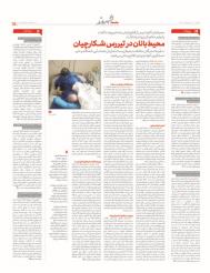 جامعه